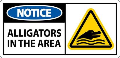 Avviso alligatori nel il la zona cartello vettore