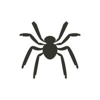 ragno insetto icona su bianca sfondo - semplice vettore illustrazione