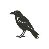 Comune Corvo uccello icona su bianca sfondo - semplice vettore illustrazione