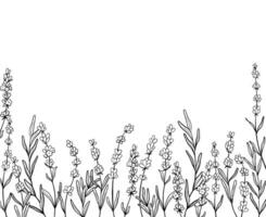 telaio di lavanda fiore linea arte disegno. mano disegnato nero inchiostro schizzo. design confine per nozze invito, logo, carte, confezione e etichettatura. botanico rustico di moda verdura vettore illustrazione.