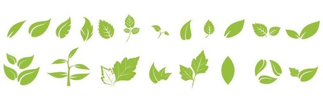 le icone delle foglie impostano l'elemento della natura dell'ecologia, le foglie verdi, l'ambiente e il segno dell'eco della natura. foglie su sfondo bianco vettore
