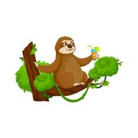 cartone animato divertente bradipo personaggio gode cocktail vettore
