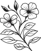 realistico catharanthus fiore colorazione pagine, Madagascar pervinca disegno, pervinca disegno, fiore grappolo disegno, carino fiore colorazione pagine, illustrazione vettore arte