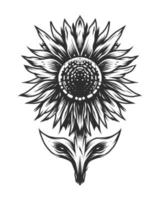 fiore del sole vintage in stile monocromatico isolato vettore