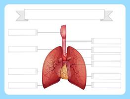 modello di foglio di lavoro struttura dei polmoni vettore