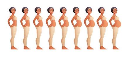 fasi della gravidanza mese per mese illustrazione vettoriale
