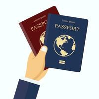 rosso e blu passaporti nel mano. concetto per viaggiare, vacanza, vacanza. piatto vettore illustrazione.