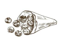 disegnato a mano schizzo di al forno castagne nel un' carta Borsa. vettore cibo disegno. tradizionale Natale. illustrazione per confezione, etichetta, ricetta, menù. Vintage ▾ vacanza design.