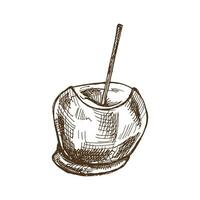 disegnato a mano caramello mele schizzo. vettore cibo disegno. tradizionale Natale, Halloween dolce. illustrazione per confezione, etichetta, ricetta, menù. Vintage ▾ vacanza design con caramello mele.