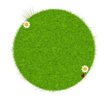 etichetta ecologica verde da erba verde. illustrazione vettoriale. vettore