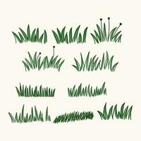 mano disegnato verde erba illustratore vettore collezione