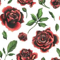 rosso nero rosa fiori con verde le foglie e mini cuffie, elegante, luminosa, Bellissima. mano disegnato acquerello illustrazione. senza soluzione di continuità modello su un' bianca sfondo, per decorazione e design. vettore