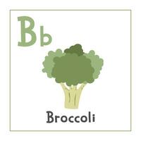 broccoli clipart. broccoli vettore illustrazione cartone animato piatto stile. verdure inizio con lettera b. verdura alfabeto carta. apprendimento lettera B carta. bambini formazione scolastica. carino broccoli vettore design