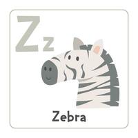 zebra clipart. zebra vettore illustrazione cartone animato piatto stile. animali inizio con lettera z. animale alfabeto carta. apprendimento lettera z carta. bambini formazione scolastica. carino zebra vettore design