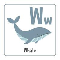 balena clipart. balena vettore illustrazione cartone animato piatto stile. animali inizio con lettera w. animale alfabeto carta. apprendimento lettera w carta. bambini formazione scolastica. carino blu balena vettore design