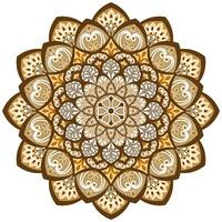 mandala fiore colore vettore Immagine