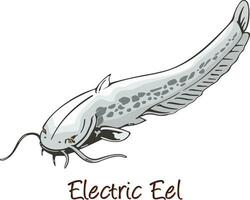 elettrico anguilla, colore illustrazione vettore