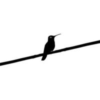 arroccato colibrì silhouette, può uso arte illustrazione, sito web, logo grammo, pittogramma o grafico design elemento. vettore illustrazione