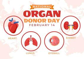 nazionale organo donatore giorno vettore illustrazione su 14 febbraio con reni, cuore, polmoni o fegato per trapianto e assistenza sanitaria nel piatto sfondo
