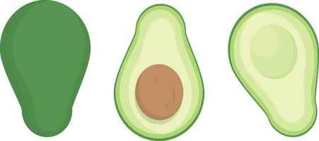 avocado impostato di totale e metà con un' osso illustrazione isolato su un' bianca sfondo vettore