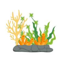 piatto illustrazione di mare corallo scogliera vettore