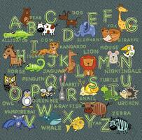 latino alfabeto, figli di alfabeto con animali, lettere. vettore