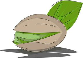 cartone animato ovale Noce di il pistacchio alberodeserto verde noccioline vettore o colore illustrazione