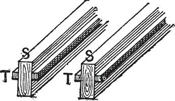 galloccia t e travetto S Vintage ▾ incisione vettore