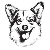 corgi cucciolo cane. etichetta su il parete. schizzo, disegnato, artistico, ritratto di un corgi cucciolo vettore