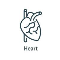 salutare cuore, umano interno organo,cardiovascolare dai un'occhiata su, vettore linea icona