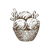 un' disegnato a mano schizzo di un' cialda cestino con congelato Yogurt o morbido ghiaccio crema con cialda tubi. Vintage ▾ illustrazione. elemento per il design di etichette, confezione e cartoline. vettore