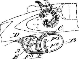 grilletto meccanismo, Vintage ▾ illustrazione. vettore