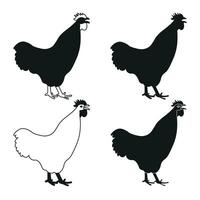 cazzo, galletto, gallo, pollo, gallina, pulcino, posizione in piedi, pollame silhouette mano disegnato vettore