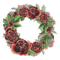 rosso nero rosa fiori con verde le foglie e mini cuffie, elegante, luminosa, Bellissima. mano disegnato acquerello illustrazione. cerchio ghirlanda, telaio, modello su un' bianca sfondo, per decorazione e design. vettore