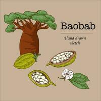 baobab cartone animato mano disegnato schizzo sfondo vettore