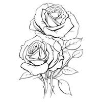 Vintage ▾ rosa fiore incisione calligrafico .vittoriano stile tatuaggio vettore illustrazione