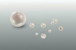 bianca naturale perle nel madreperla colore isolato su un' nero sfondo.vettore illustrazione. vettore