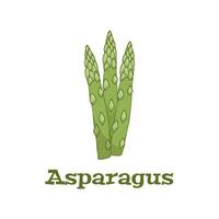 verdure. asparago verde germogli. vettore illustrazione cartone animato piatto icona isolato su bianca.