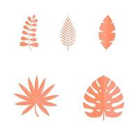 set di foglie tropicali estive isolate su sfondo bianco. illustrazione vettoriale