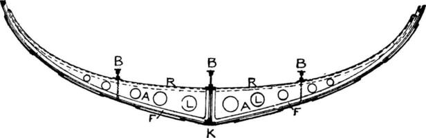 pavimento di nave, Vintage ▾ illustrazione. vettore