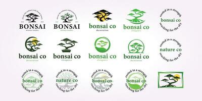 Bonsai logo design fascio, Bonsai albero icona impostato Vintage ▾ decorazione vettore illustrazione