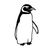 carino settentrionale pinguino. monocromatico vettore illustrazione. realistico polare animale