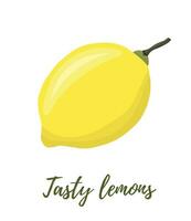 vettore illustrazione di giallo limoni su un' ramo. la verdura, frutta, cucina, cucinando, mangiare, potabile Tè, giardinaggio disegni.