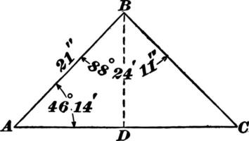 obliquo triangolo con lato 21' e angoli 88 24' 11 e 46 14' Vintage ▾ illustrazione. vettore