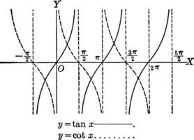 tangente e cotangente curve, ytan X e ycot X Vintage ▾ illustrazione. vettore