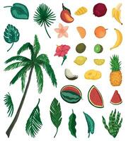 tropicale natura scarabocchi impostare. collezione di esotico foglie, palma, fiori, frutta. colorato vettore illustrazione nel cartone animato stile. moderno clipart isolato su bianca.