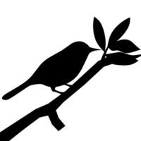 vettore silhouette di uccello arroccato su frondoso albero ramo, arte arredamento, parete arredamento, parete etichetta, isolato su bianca sfondo