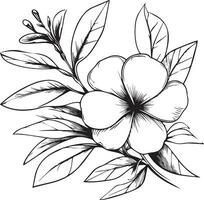 vettore schizzo di fiori. pervinca linea disegni, dipinto a mano Madagascar pervinca parete arte, botanico vinca parete arte, semplice pervinca disegno, noyontara azione schema disegno, pervinca flowe