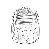 un' linea disegno schizzo di un' chia budino, finito con mirtilli su il superiore e racchiuso nel un' ramekin stile pentola. vettore