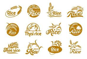 riso icone, biologico grano cibo, azienda agricola seme pacchetto vettore